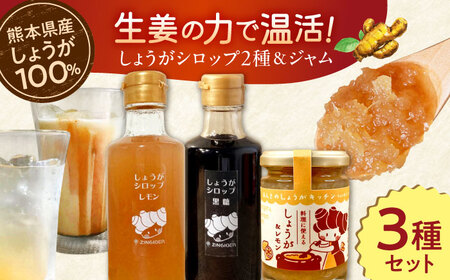 しょうが＆レモン ジャム　生姜 シロップ 2種 レモン・黒糖 セットジャム シロップ[AYAD010]