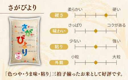 【毎月お届け！】【全3回定期便】さがびより 白米 計30kg（5kg×2袋×3回）/ 佐賀米 精米 コメ おこめ ごはん / 佐賀県 / 株式会社JA食糧さが [41ADAR006]