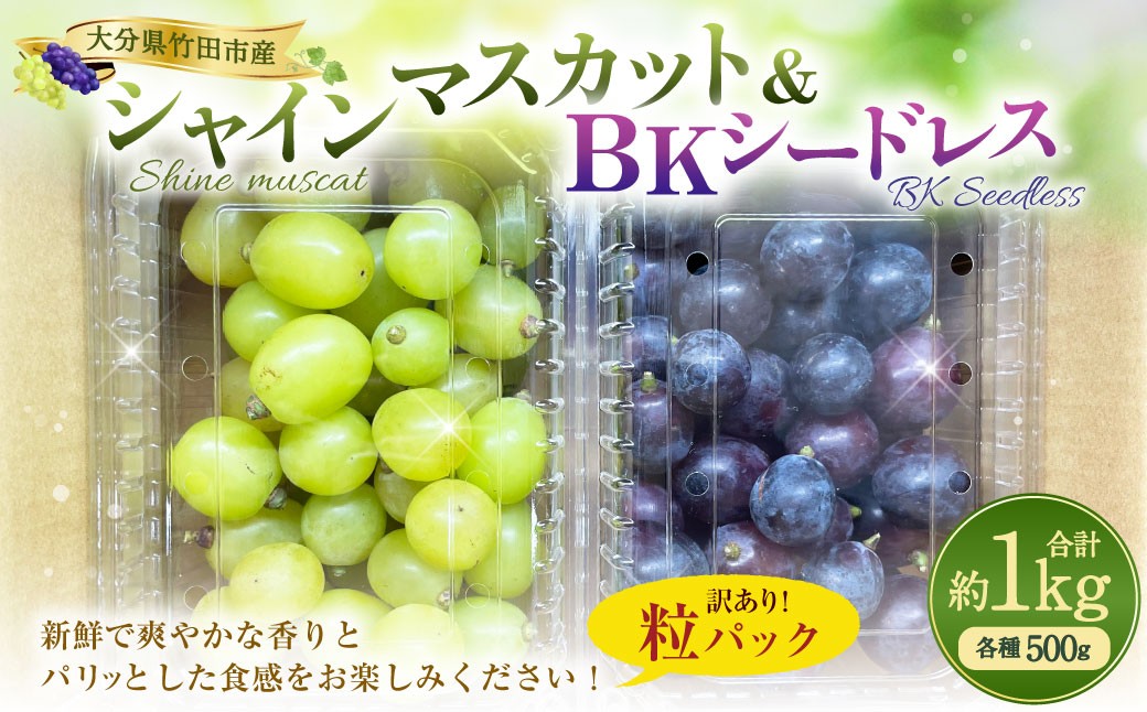 
                  【数量限定】 粒パック 訳あり シャインマスカット （約500g） & BKシードレス （約500g） 計約1kg （各1パック） 【2026年8月下旬～11月上旬発送開始予定】
                