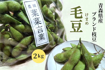 農園 葉菜言葉のおいしい毛豆 2kg 令和8年産｜青森県産 枝豆 ブランド枝豆 おつまみ 大粒豆 けまめ えだまめ 2026年産 [0533]