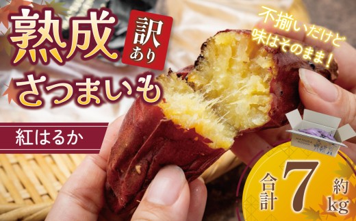 【先行予約】 茨城県産 熟成さつまいも （ 紅はるか ） SS～3Lサイズ訳アリ 7kg （ 箱入り ） │ 訳アリ 訳あり 紅はるか さつまいも サツマイモ さつま芋 芋 いも イモ お芋 おやつ スイーツ デザート 10000円 茨城県 つくば市