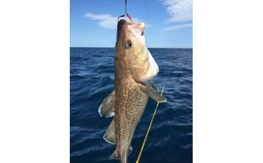 236.ワッカヌプリ宿泊券（３名様オホーツク釣りプラン）