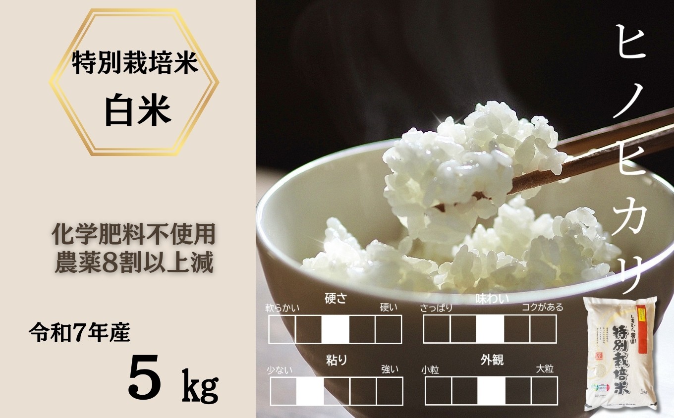 
                  令和7年産 佐賀県産特別栽培米ヒノヒカリ 白米5kg（化学肥料不使用・農薬8割以上減） / 白米 精米 お米 米 こめ コメ ライス rice / 佐賀県 / 株式会社しもむら農園 [41AHAH007]
                