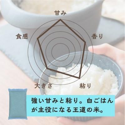ふるさと納税 大網白里市 【令和7年産】2年連続特A評価!米　コシヒカリ　無洗米10kg(5kg×2)訳あり |  | 02
