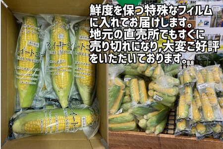 〈予約受付〉2025年産 善通寺市産 スイートコーン 2.5kg（鮮度保持袋入り）　【2025年６月頃から発送開始予定のお品です】
