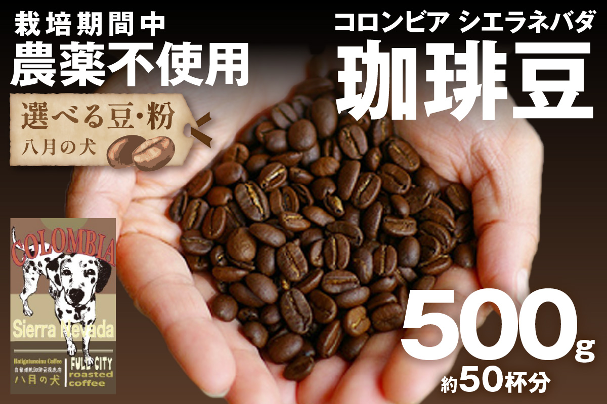 【栽培期間中農薬不使用】自家焙煎コーヒー豆 コロンビア シエラネバダ 500g（250g×2） 約50杯分 小分け　豆・粉 選べる