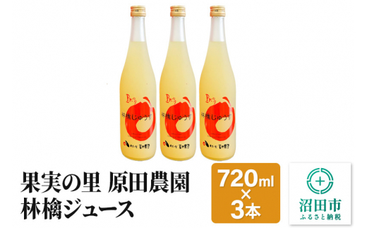 
果実の里 原田農園 林檎ジュース 720ml×3本 りんごジュース ストレート100％果汁

