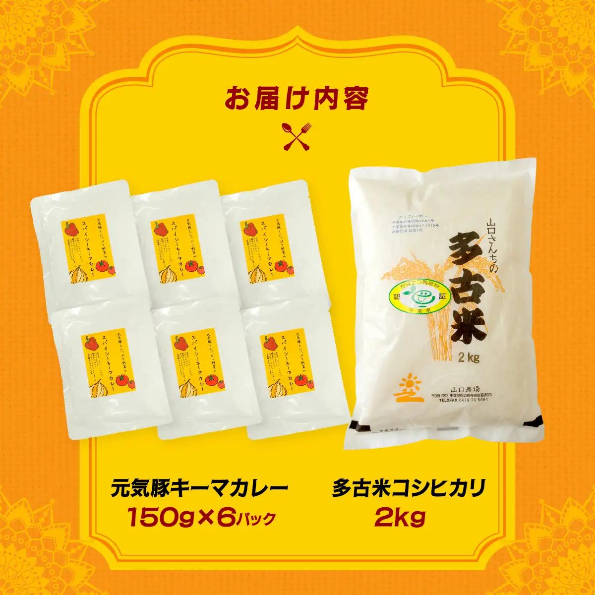 ご飯にはやっぱりカレー!「多古米コシヒカリ2kg」と「元気豚キーマカレー150g×6」セット_ 精米 米    コシヒカリ 米 こしひかり  惣菜・加工品 カレー  _【配送不可地域：離島・沖縄県】 