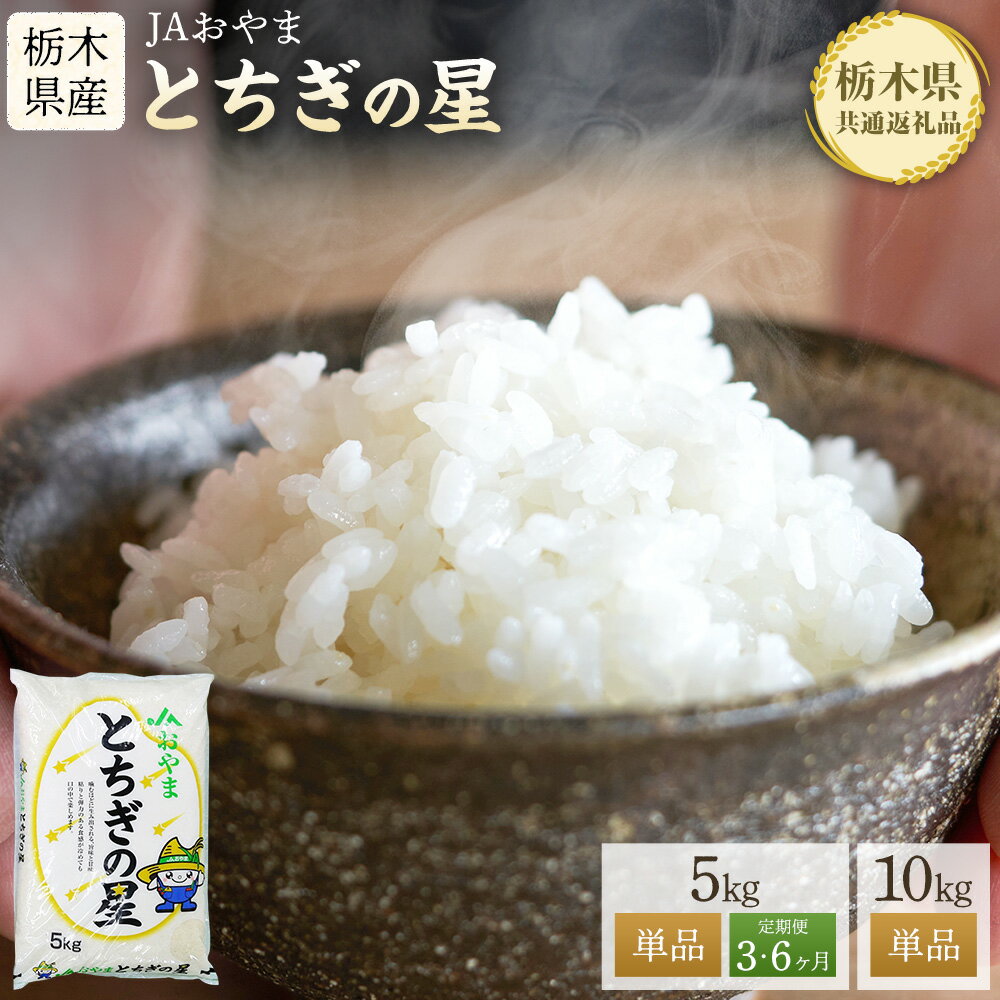 【ふるさと納税】 令和7年産 米 お米 とちぎの星 定期便あり 選べる5kg 10kg 《30日以内に出荷予定(土日祝除く)》 栃木県 野木町産 コメ 米 ブランド米 とちぎのほし【栃木県共通返礼品】