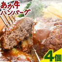 【ふるさと納税】あか牛 ハンバーグ4個（150g×4個） トライウィン《90日以内に出荷予定(土日祝除く)》 熊本県 南阿蘇 あかうし 赤牛 ハンバーグ 惣菜 肉 牛肉 あか牛