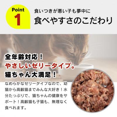 ふるさと納税 久留米市 金かつお 猫用パウチ(カニカマ入り)160g×48袋(久留米市) |  | 01