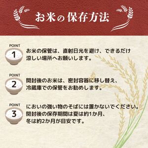 【定期便】 令和7年産 新潟県産こしいぶき 5㎏×3か月 【 新潟県 新潟産 新潟米 新発田産 新発田 お米 米 こしいぶき とんとん市場 せいだ 5kg 15kg 3か月 定期便 数量限定 玄米 D