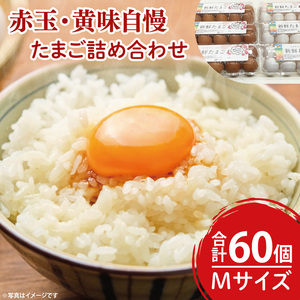 【数量限定】赤玉・黄味自慢 たまご詰め合わせ60個【卵 玉子 タマゴ 新鮮 タンパク質 目玉焼き 茨城県 水戸市】（LB-2）