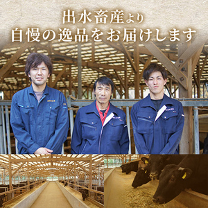 鹿児島県産黒毛和牛シャトーブリアン4～5枚入（560g） 506-1