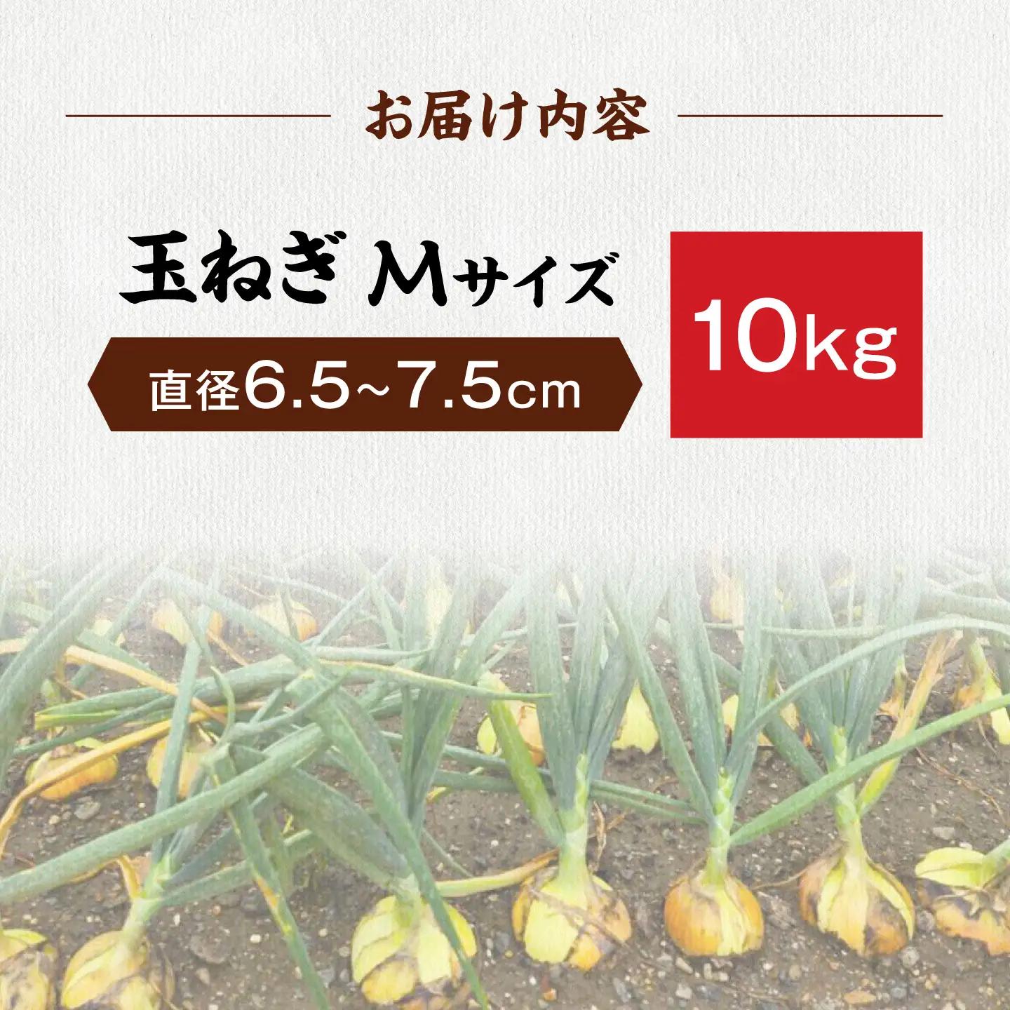 玉ねぎ10kg（Mサイズ） 滋賀県長浜市/柏本農園株式会社[AQDZ010]