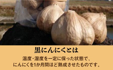 【スタミナ抜群！！】佐賀の武雄で育てた黒にんにく 約300g [UBF005] ニンニク 黒にんにく ガーリック 野菜 健康 国産 佐賀県 佐賀 武雄市