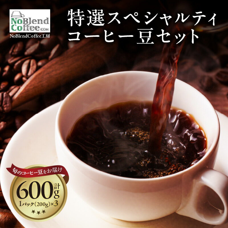 【ふるさと納税】NoBlendCoffee工房 特選 スペシャルティコーヒー 豆 セット【200g×3パック】 シングルオリジン 珈琲 コーヒー豆 エコセントリックジャパン スペシャリティコーヒー 焙煎豆 ノーブレンド エチオピア グァテマラ 贈り物 ギフト グルメ カフェ 送料無料