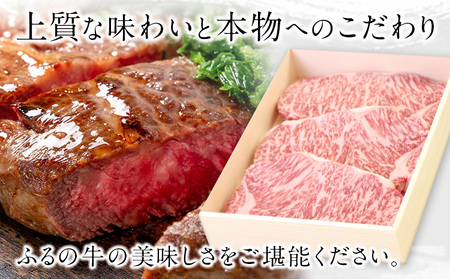 ふるの牛（黒毛和牛）特選サーロインステーキ 750g(250g×3枚) ゲランド塩付き A5 有限会社ふるの《30日以内に出荷予定(土日祝除く)》