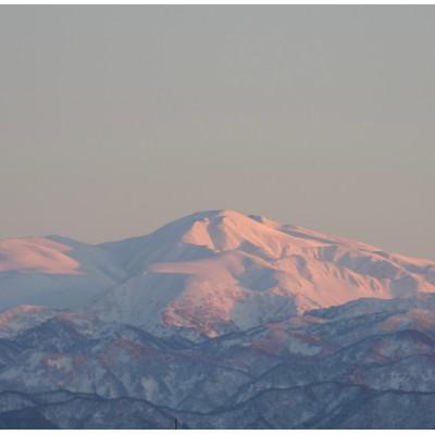 ふるさと納税 能美市 【令和7年度産】お米農家直送　石川県産コシヒカリ　4.5kg |  | 03