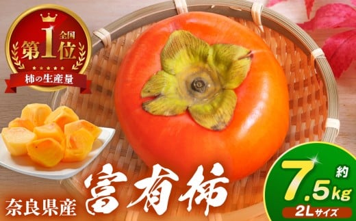 厳選 富有柿 約7.5kg 2L サイズ  | 大人気 人気 富有 柿 かき フルーツ 果物 奈良県 五條市 なかにし農園 贈答用 ギフト プレゼント おすすめ 11月 発送 カキ 秋の味覚 旬 甘い 大容量 農家直送 産地直送 グルメ お取り寄せ 送料無料  食物繊維 豊富 美容 健康 低農薬 有機質肥料 | 奈良県 五條市
