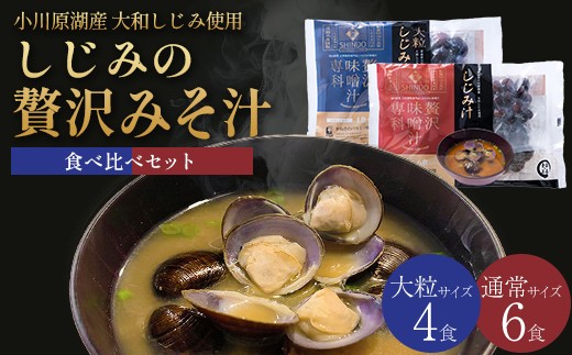 
しじみの贅沢みそ汁　食べ比べセット　2袋　【02408-0055】
