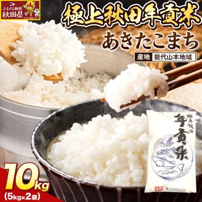 ふるさと納税 秋田県 米 極上秋田年貢米 あきたこまち 能代山本地域 10kg |25_jst-031001b