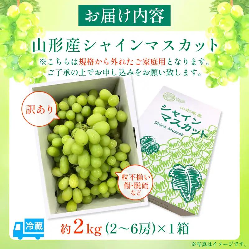 【ご家庭用】シャインマスカット 2kg入り 1箱 [前半]【令和8年産先行予約】FU19-485 くだもの 果物 フルーツ 山形 山形県 山形市 2026年産