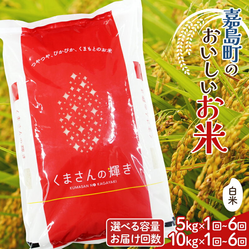 【ふるさと納税】 令和8年熊本地震復興支援 《容量と回数が選べる》【嘉島町産】くまさんの輝き 5kg 10kg ＜2カ月〜6カ月 定期便＞ 米 お米 コメ ごはん ご飯 食品 九州 熊本県 熊本 嘉島 FK7-0264var
