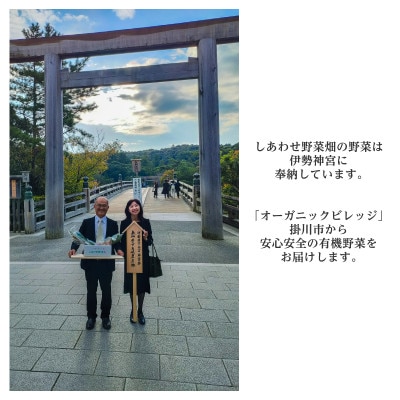 【フードロス対応・規格外】　有機大根　訳あり　有機JAS　冬季限定(12～3月発送)【配送不可地域：離島・北海道・沖縄県】