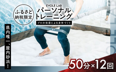 エボレラボ パーソナルトレーニング 12回分プロの指導による身体づくり(トレーニング：1回×約50分) 熊本県 菊陽町【エボレジャパン株式会社】[BHBC008]