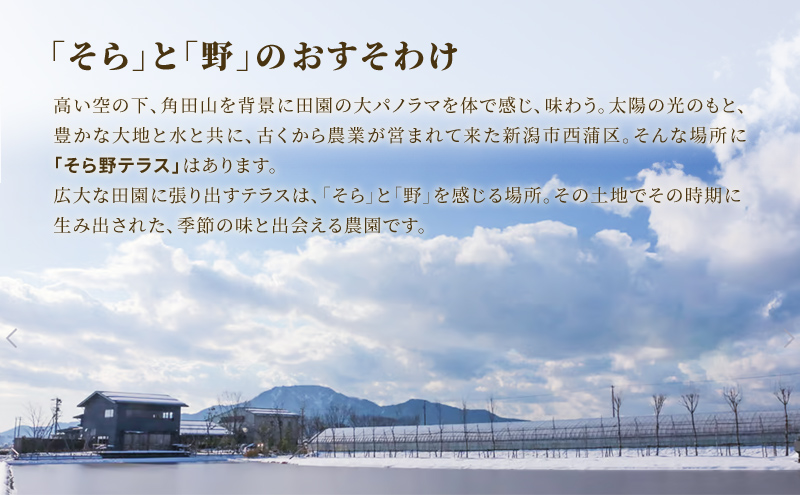 特別栽培米コシヒカリ 寿々喜米 5kg（精米） 特別栽培米 コシヒカリ 米 お米 こめ コメ おこめ 新潟 