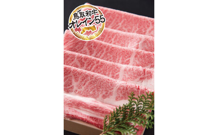 鳥取和牛 最上級A5ランク オレイン55 肩ロース スライス 大（約600g） 国産 牛肉 黒毛和牛
