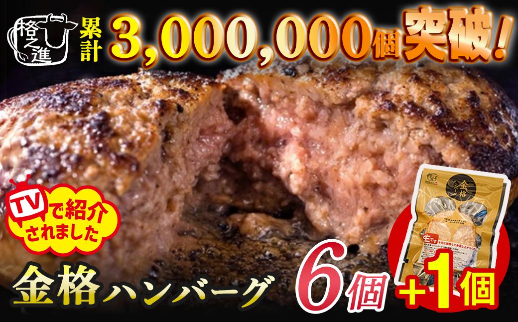 《格之進》金格 ハンバーグ 120g×6個 冷凍 人気 国産牛肉 白金豚 ～ お店の味をご家庭で 焼くだけ簡単～ 無添加 岩手 一関 贈り物 お取り寄せ