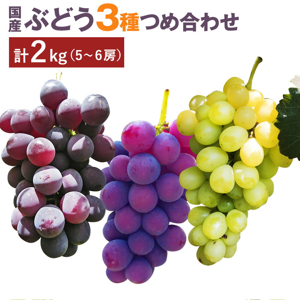【ふるさと納税】ぶどう3種詰め合わせ 合計約2kg 5〜6房 巨峰 イタリア 安芸クイーン 葡萄 フルーツ 果物 国産 九州産 熊本県産 益城町産 送料無料【2025年9月上旬～9月下旬順次発送予定】