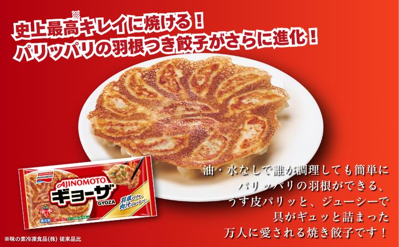 人気返礼品コラボセット AJINOMOTOギョーザ・JAさがオリジナル鶏ごぼうピラフ（各10袋） ぎょうざ 120個 ピラフ 250g×10袋 さがびより使用 味の素 ＪＡフーズさが 冷凍食品 餃子 