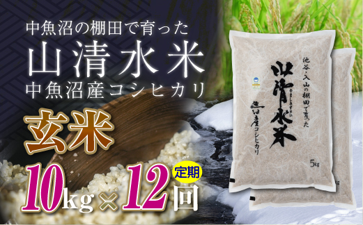 【定期便／全12回】玄米10kg　新潟県魚沼産コシヒカリ「山清水米」十日町市 米