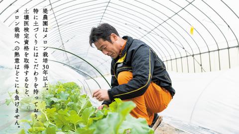 茨城県 メロン 秀品 2色 食べ比べ セット ほのかメロン タカミメロン 赤肉 青肉 1箱 2玉入り 期間限定 フルーツ 果物 茨城県産 【 先行予約 】 【 6月中旬 以降発送】[AV006ya]