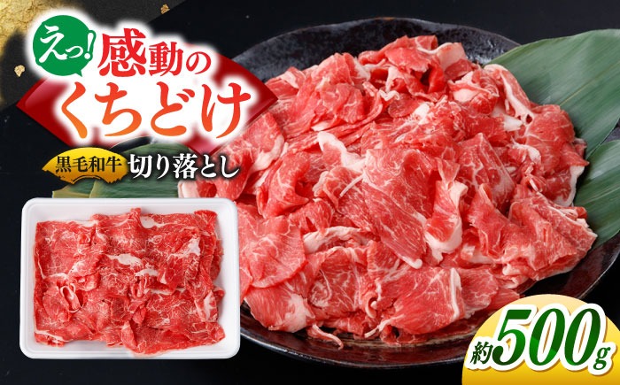 国産 黒毛和牛 熟成肉 切り落とし 500g / 小分け 国産牛 お肉 牛肉 切落し 冷凍 焼肉 すき焼き / 南島原市 / ふるさと企画[SBA094]
