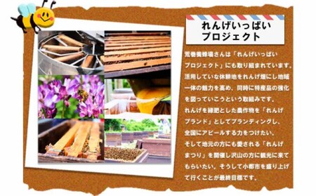 はちみつ らっきょう セット 国産 天然 純はちみつ 370g×2本 やまみつ＆さくら、はちみつらっきょう 300g ハニーベル 