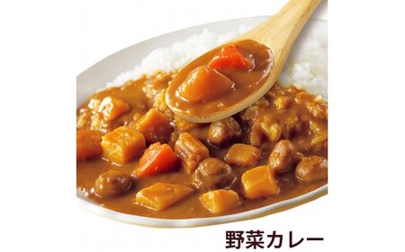 【定期便12回】ココイチ カレー Dセット（ビーフ3個・ポーク3個・甘口2個・野菜2個・キーマ2個） (毎月お届け）｜カレー CoCo壱番屋 常温保存 非常食 簡単 時短 自宅用 キャンプ  ふるさと