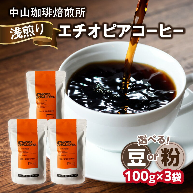【ふるさと納税】《レビューキャンペーン》 自家焙煎コーヒー 浅煎り エチオピア 100g×3袋 選べるタイプ（豆or粉）中山珈琲焙煎所 コーヒー豆 珈琲 コーヒー コーヒー粉 浅煎り エチオピア 100g×3袋 合計300g
