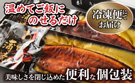 《2025年12月発送》『国産』うなぎ蒲焼 2尾 計320g [B-1124-PE(12)]
