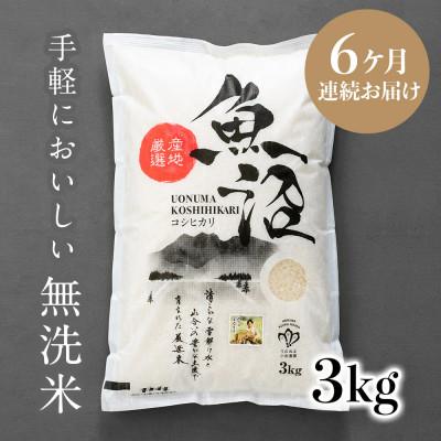 ふるさと納税 魚沼市 【毎月定期便】【無洗米】「米食味鑑定士　厳選」魚沼産コシヒカリ　3kg全6回 | 