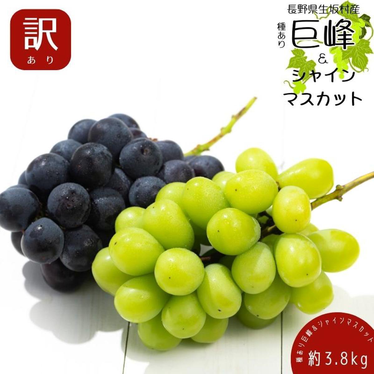 【ふるさと納税】【2026年先行予約】ぶどう 巨峰 シャインマスカット 約3.8kg (9~13房) 訳あり 種あり 詰め合せ 信州直送 ｜ 長野県産 ブドウ 種有り きょほう 葡萄 詰合せ 食べ比べ | 令和8年9月上旬~10月中旬順次発送 | 長野県 生坂村 [株式会社野の香]