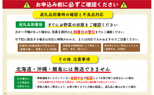 旬の野菜 詰め合わせ 5品以上 連続3か月 【 定期便 】 おまかせ セット 産地直送 新鮮 野菜 季節の野菜 旬 直売所 直送 連続 新鮮 E2358-0