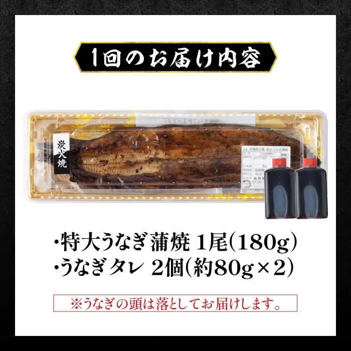 【6回定期便】国産 うなぎ 蒲焼 特大1尾 /すみまる [UDH011] うなぎ