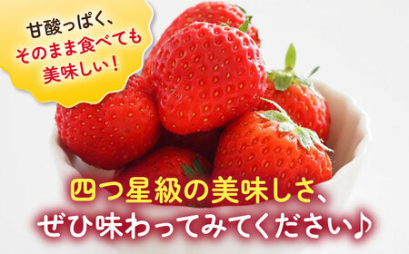 【2026年発送分 先行予約】よつぼし（220g×2パック）/  イチゴ イチゴ イチゴ イチゴ イチゴ イチゴ イチゴ / 佐賀県 / 岸川農園 [41ASAG038]