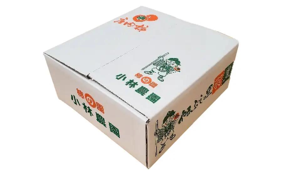 【令和8年産先行予約】　庄内柿　2Lサイズ　5kg（20～24個）　山形県鶴岡市　小林農園　| 柿 カキ 平核無柿 ひらたねなしかき 種無し柿 旬 期間限定 果物 フルーツ 甘い おいしい おすすめ 