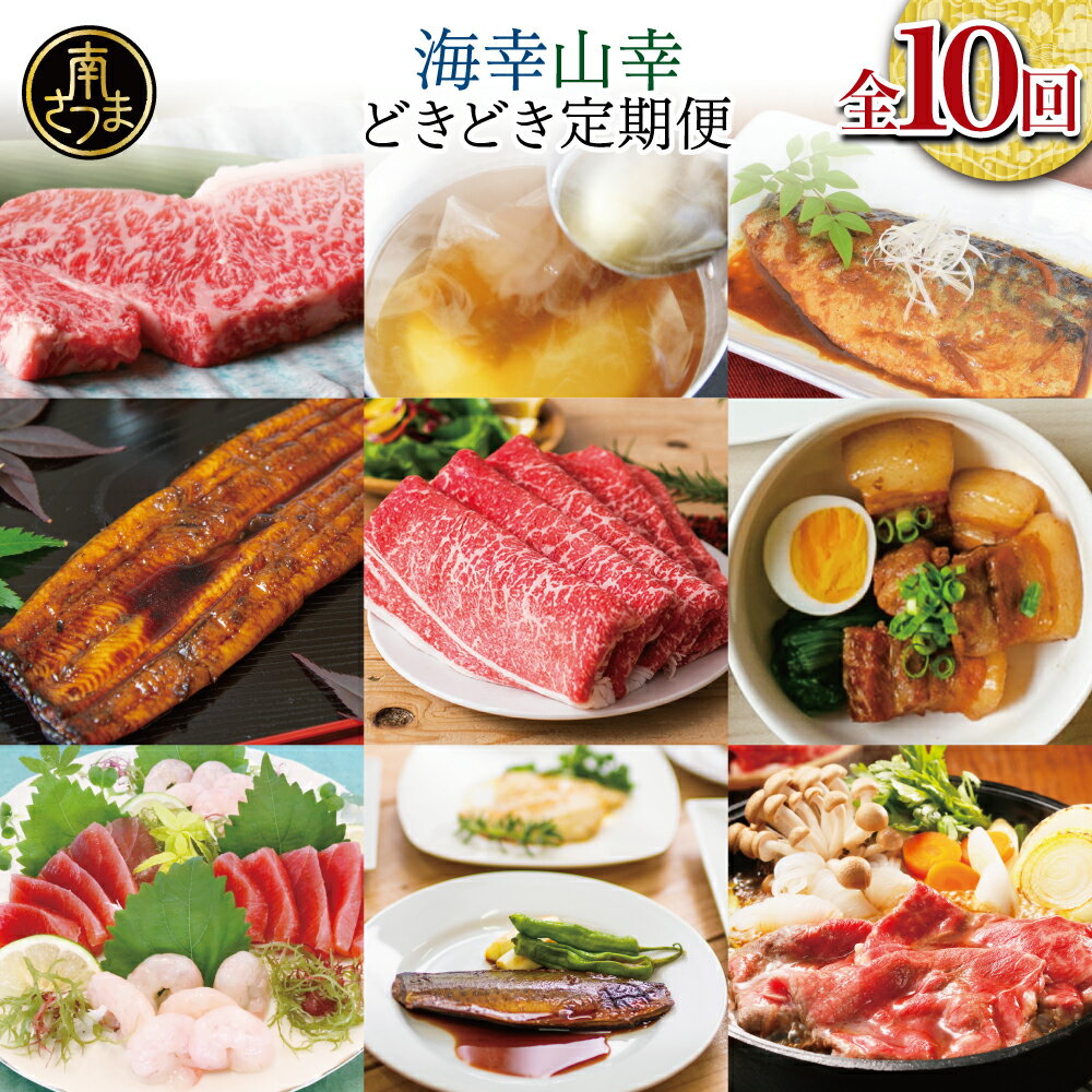 【ふるさと納税】海幸 山幸 どきどき 定期便（全10回）南さつま市の「海の幸」「山の幸」をどっちも堪能できるお楽しみ定期便 お肉 お魚 黒豚 牛肉 すき焼き ステーキ 角煮 鰻 蒲焼 刺身用たかえび マグロ 出汁 鰹節 鹿児島黒牛 生姜焼き おかず 煮魚 定期配送 送料無料