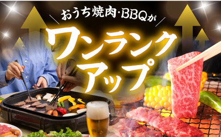【焼肉満喫セット】長崎和牛 A5 モモ・上カルビ 計900g / 焼肉 やきにく 和牛 牛肉 肉 モモ カルビ A5ランク / 諫早市 / 野中精肉店 [AHCW075]